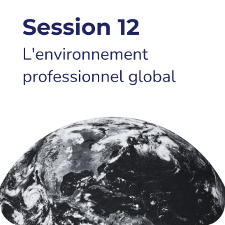 Mentor Portal Session 12